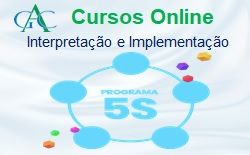 Curso Programa do 5S Interpretação e Implementação 