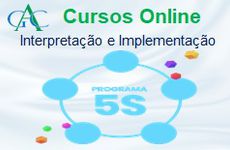 Curso Programa do 5S Interpretação e Implementação 
