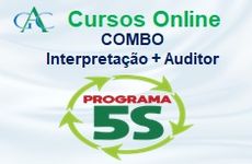 Interpretação Programa 5S + Auditor do 5S