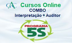 Interpretação Programa 5S + Auditor do 5S
